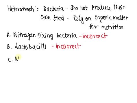 select odd one out for heterotrophic bacteria|Select the odd one out for Heterotrophic bacteria..